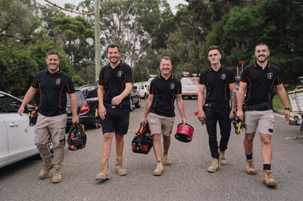 Professional electrical services in Forest Lodge